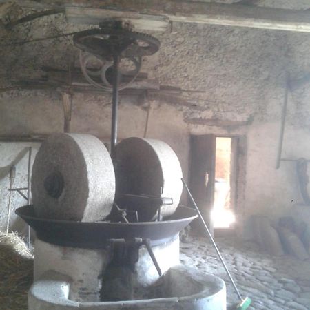 Agriturismo Frantoio Mafrica Limbadi Eksteriør bilde