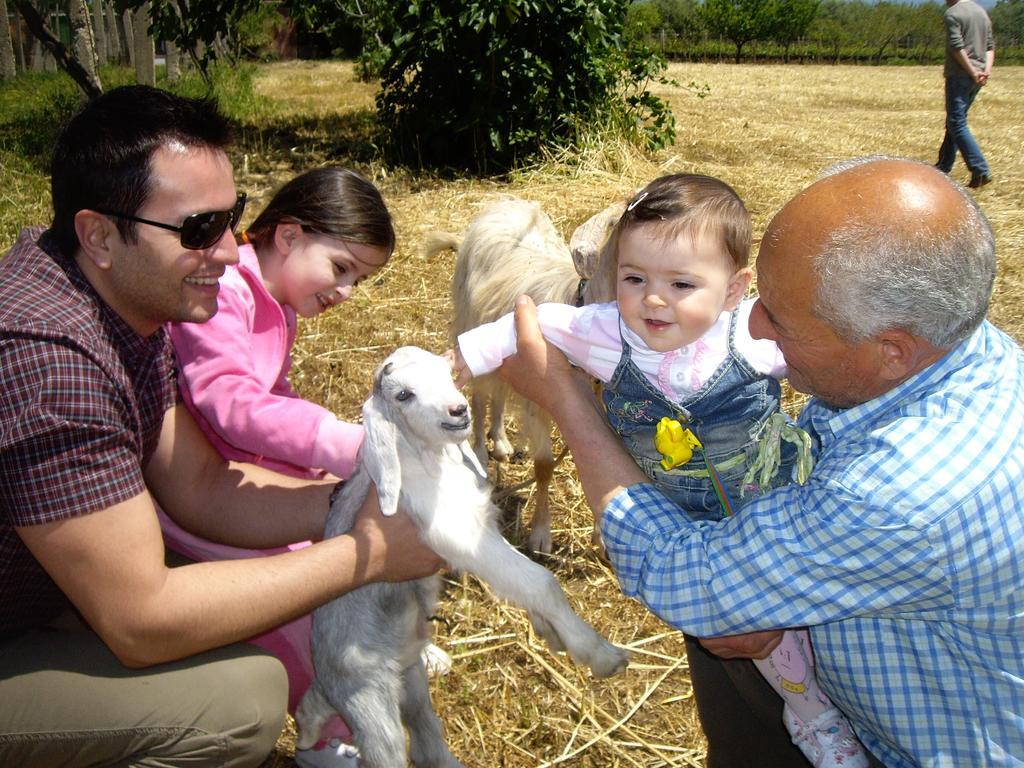 Agriturismo Frantoio Mafrica Limbadi Eksteriør bilde